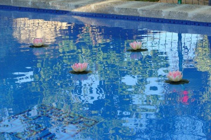 Hotel Arcas De Agua Extérieur photo