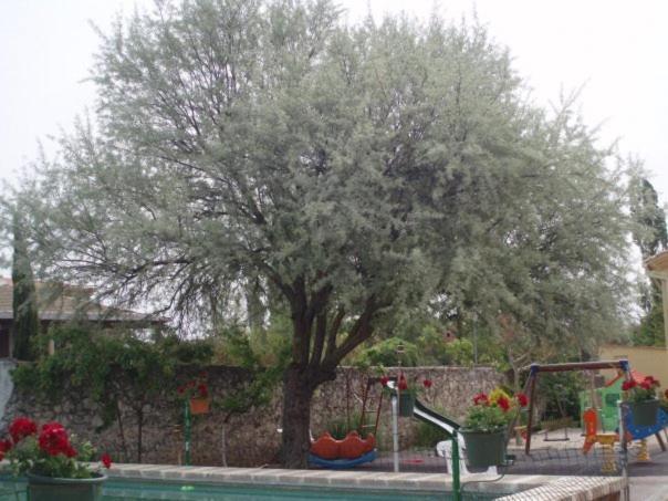 Hotel Arcas De Agua Extérieur photo